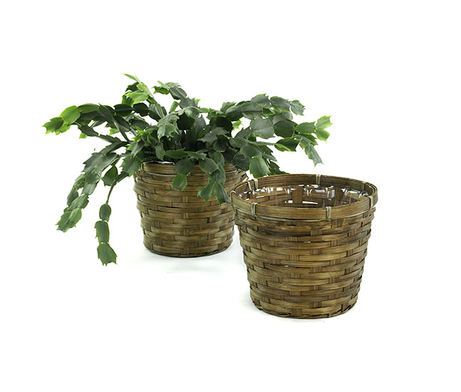 6 BAMBOO STAIN POT  COVER 